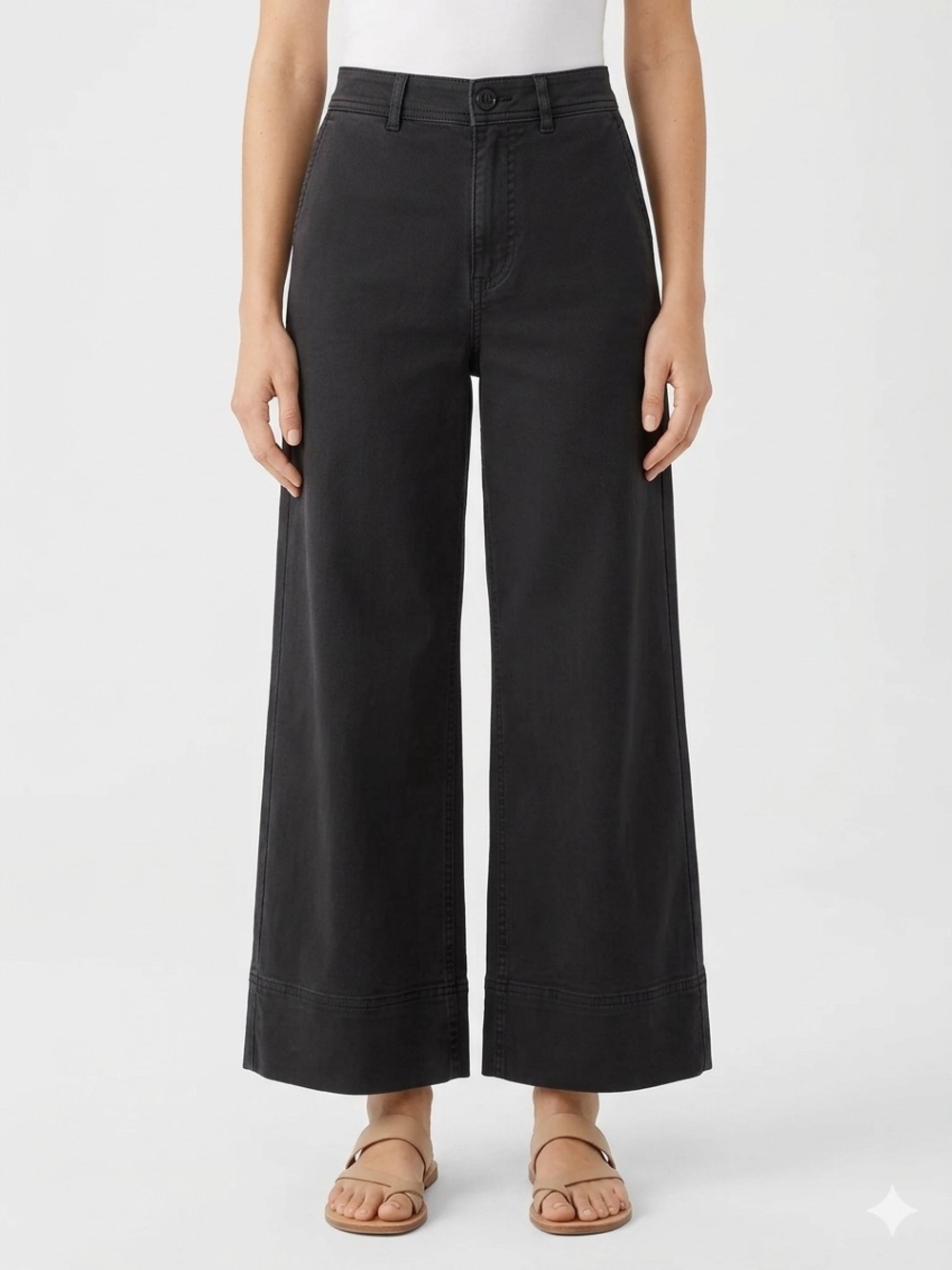 Everlane Lightweight Wide-Leg Crop Chino Pants Washed Black 00 Minimalist Basic
